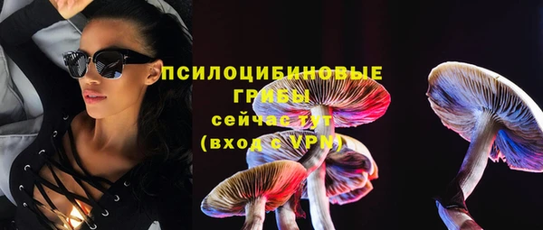 прущий лед Липки
