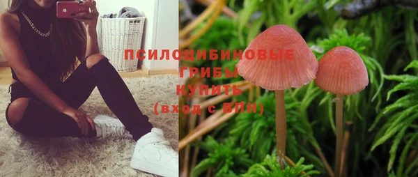 прущий лед Липки